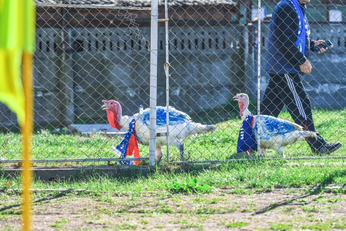 Viața curcanilor de la Hușana depinde de meciul cu Pașcani