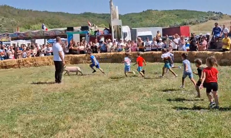 „Prinsul purceilor”, concursul viral de la Hoceni. Copiii aleargă după premiul cel mare, iar adulții se întrec la fotbal și probe de îndemânare